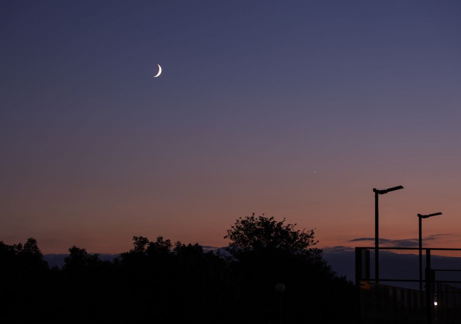 Inglés C1. Nivel 22 Over the moon - contenido online
