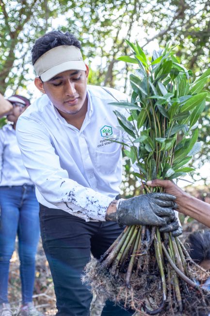 Experto en gestión medioambiental - contenido online 