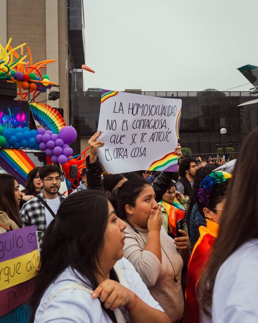 Plan de gestión de la diversidad LGTBI en la empresa - contenido online